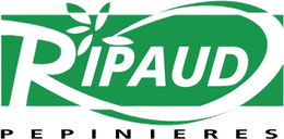 Logo Ripaud Pépinières Logo Ripaud Pépinières