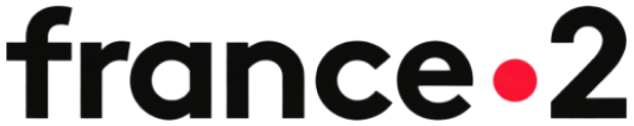 Logo France 2 France 2
